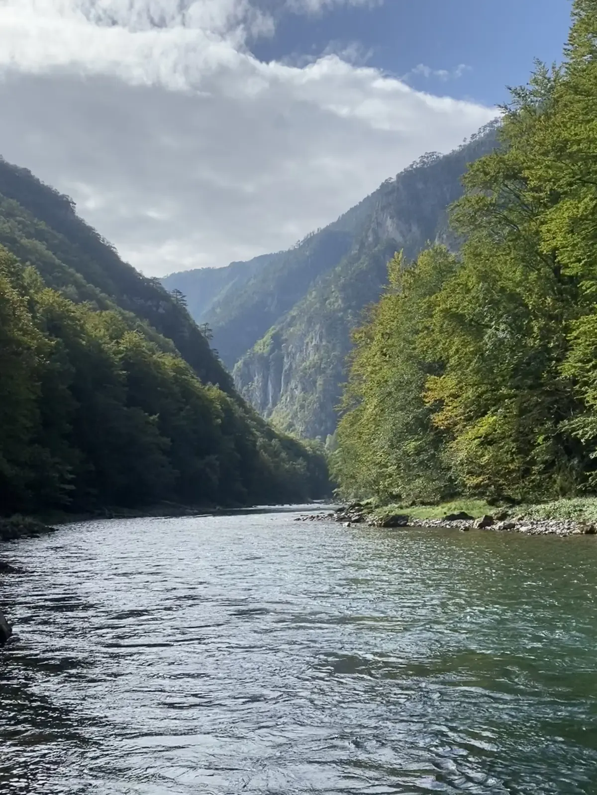Drina i Tara