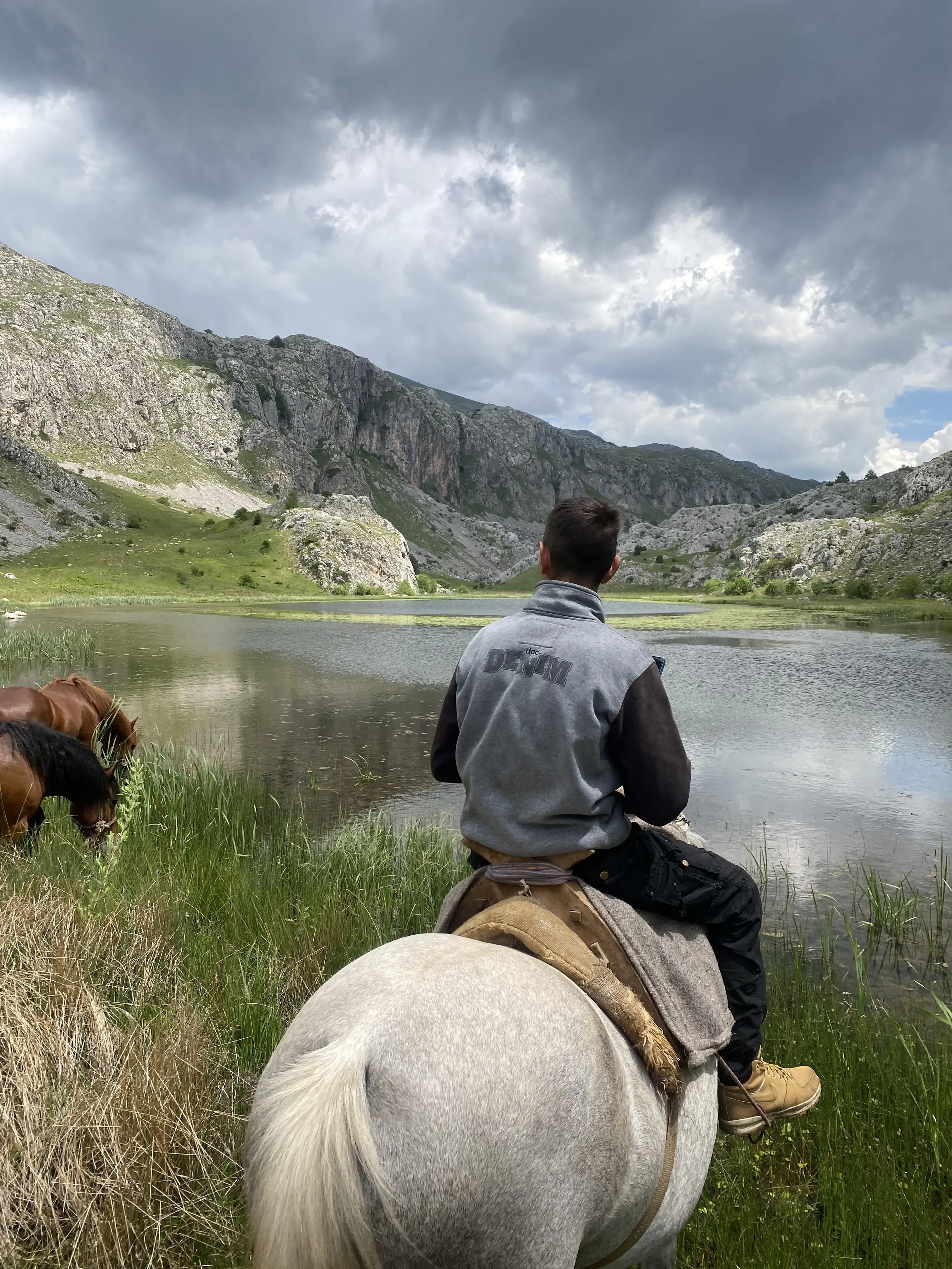 Jahanje konja na Zelengori