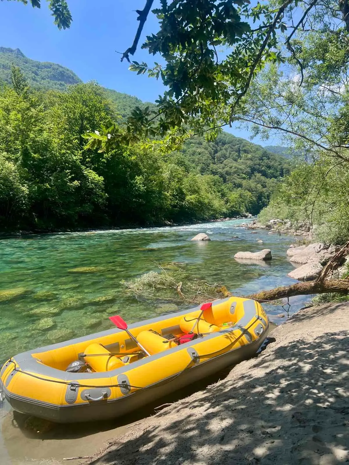 Tara Full Experience